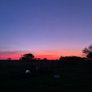 Meet your Posher, Yesenia